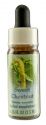 Flower Essence Services (FES) Healing Herbs English Flower Essences Sweet Chestnut