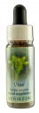 Flower Essence Services (FES) Healing Herbs English Flower Essences Vine
