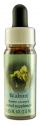 Flower Essence Services (FES) Healing Herbs English Flower Essences Walnut