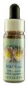 Flower Essence Services (FES) Healing Herbs English Flower Essences Wild Rose