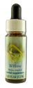 Flower Essence Services (FES) Healing Herbs English Flower Essences Willow