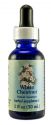 Flower Essence Services (FES) Healing Herbs English Flower Essences White Chestnut