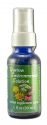 Flower Essence Services (FES) North American Flower Essences Yarrow Environmental Solution Spray 1 oz