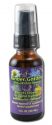 Flower Essence Services (FES) Flourish Formulas Kinder Garden Non-Alcohol 1 oz