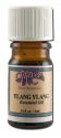 Tiferet Essential Oils Ylang Ylang