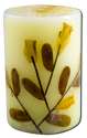 Auroshikha Cylindrical (1.75 in x 2.75 in)(4.6 cm) Flower Candles Sandal