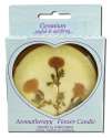 Auroshikha Large Terra Cotta (3.63 in x 1 in) Round Flower Candles Geranium
