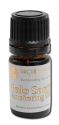 SACRED WOOD ESSENCE SUSTAINABLY HARVESTED PALO SANTO Palo Santo Anointing EO Blend 5 ml
