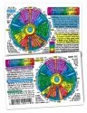 Inner Light Resources Original Wallet Cards Iridology Card (rainbow coding)