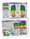 Inner Light Resources Original Wallet Cards Foot Reflexology (rainbow coded)