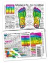 Inner Light Resources Original Wallet Cards Foot Reflexology/Spanish