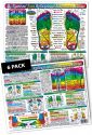 Inner Light Resources Original Laminated Charts Foot Reflex (rainbow code)6 Pk