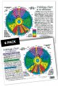 Inner Light Resources Original Laminated Charts Iridology (rainbow coded) 6 Packs