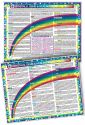 Inner Light Resources Original Laminated Charts Iridology Chart (rainbow coded) eaches