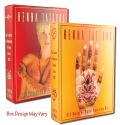 Earth Henna Body Painting Kit Original