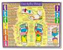 Helion Communications Reference Charts Zone Reflex Therapy