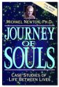 JOURNEY OF SOULs *bk/Newton