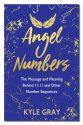 ANGEL NUMBERS (H) *Gray