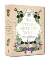 ANTIQUE ANATOMY TAROT KIT: Deck & Gu