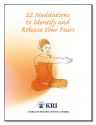 22 MEDITATIONS TO IDENTIFY AND RELEA