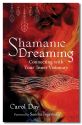 Shamanic Dreaming