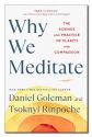 Why We Meditate