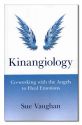Kinangiology