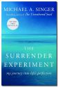 The Surrender Experiment