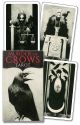 Murder Of Crows Tarot (mini)
