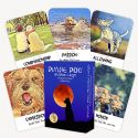 DIVINE DOG WISDOM CARDS