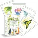 Invitation To Forest Bathing (An)